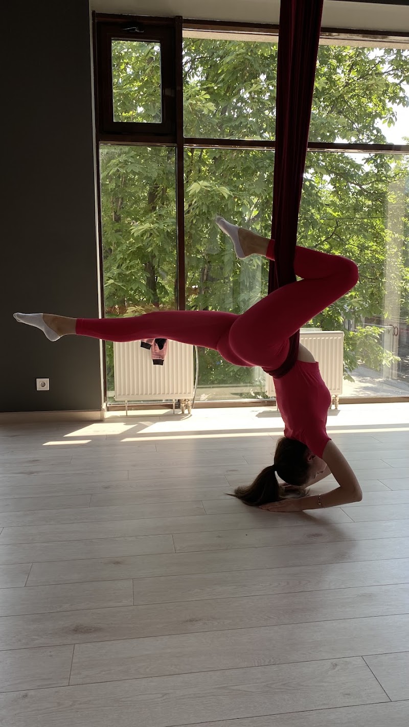Flex Studio