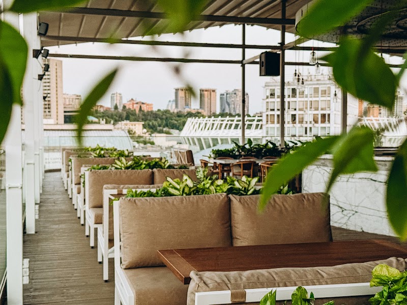 Citrus Rooftop Bar