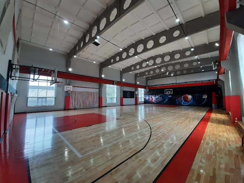 Sense Arena