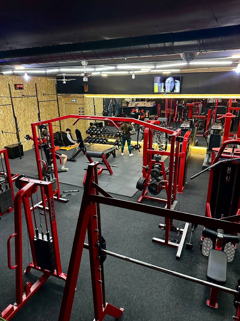 Steel Fitness Club